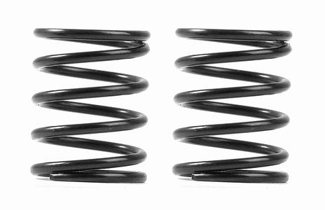 XRAY 3S Federn-Set C=4.5 (2)