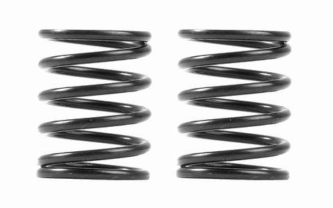 XRAY 3S Federn-Set  C=5.5 (2)