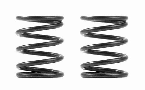 XRAY 3S Federn-Set  C=8.0 (2)