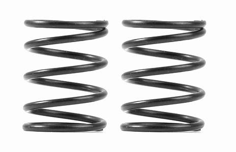 XRAY 3S Federn-Set  C=4.0 (2)