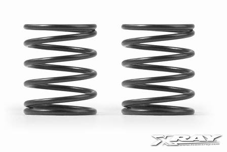 XRAY T4 FEDERN-SET C = 2.5 (2)