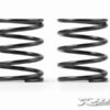 XRAY T4 FEDERN-SET C = 2.9 (2) XRAY 308277