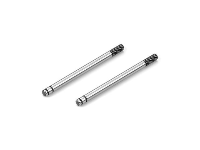 Stossdämpfer-Kolbenstangen HINTEN 45MM (2)